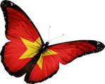 🦋