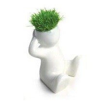 Đồ Chơi Trồng Cỏ Tóc Nhỏ (8 cái)