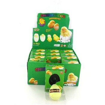 TRỨNG NỞ GÀ CON NGÂM NƯỚC (12 chiếc)