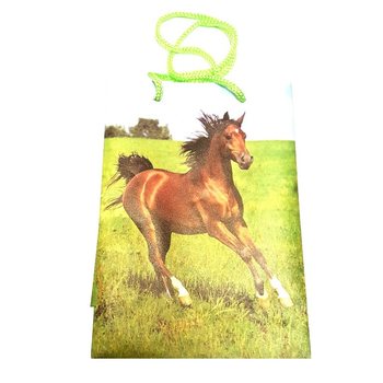 T&Uacute;I Đ&Oacute;NG G&Oacute;I H&Igrave;NH TH&Uacute; MIX - 12x17.5 (12 c&aacute;i)