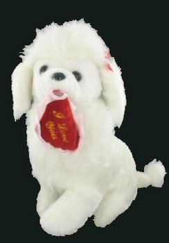 CHÓ POODLE ĐÁNG YÊU VỚI TRÁI TIM