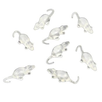 8 CON CHUỘT TRONG SUỐT TRONG TÚI LƯỚI (12 túi)