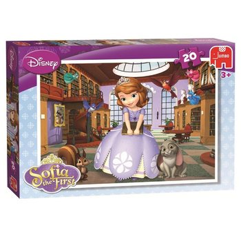 BỘ XẾP HÌNH JUMBO DISNEY SOFIA ĐỆ NHẤT TRONG THƯ VIỆN 20 MẢNH (5 bộ)
