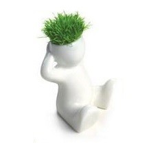 Đồ Chơi Trồng Cỏ Tóc Nhỏ (8 cái)