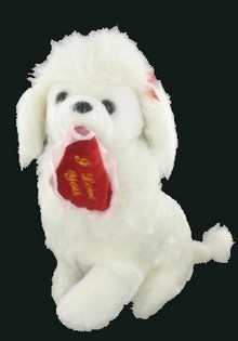 CHÓ POODLE ĐÁNG YÊU VỚI TRÁI TIM