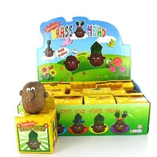 Búp Bê Đầu Cỏ Trong Hộp Trưng Bày (12 chiếc)