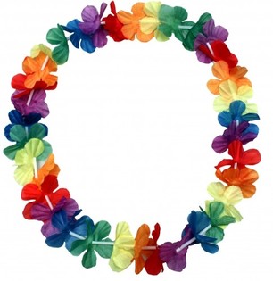 V&ograve;ng Hoa Hawaii Đeo Cổ (48 chiếc)