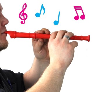 S&aacute;o dọc Recorder m&agrave;u sắc (20 c&aacute;i)