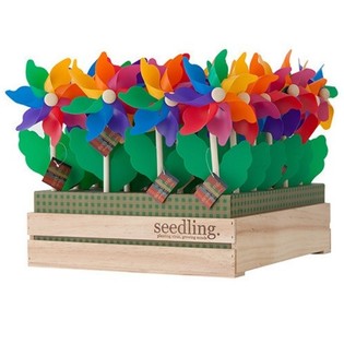 Chong Chóng SEEDLING Kèm Hộp Trưng Bày (20 chiếc)