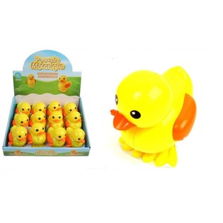 VỊT C&Oacute;T ĐẠI TRONG HỘP TRƯNG B&Agrave;Y (12 con)