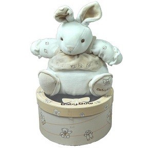 TH&Uacute; B&Ocirc;NG BABY BOW TRONG HỘP QU&Agrave; - MẪU 8