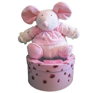 TH&Uacute; B&Ocirc;NG BABY BOW TRONG HỘP QU&Agrave; - MẪU 11