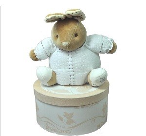 TH&Uacute; B&Ocirc;NG BABY BOW TRONG HỘP - MẪU 12